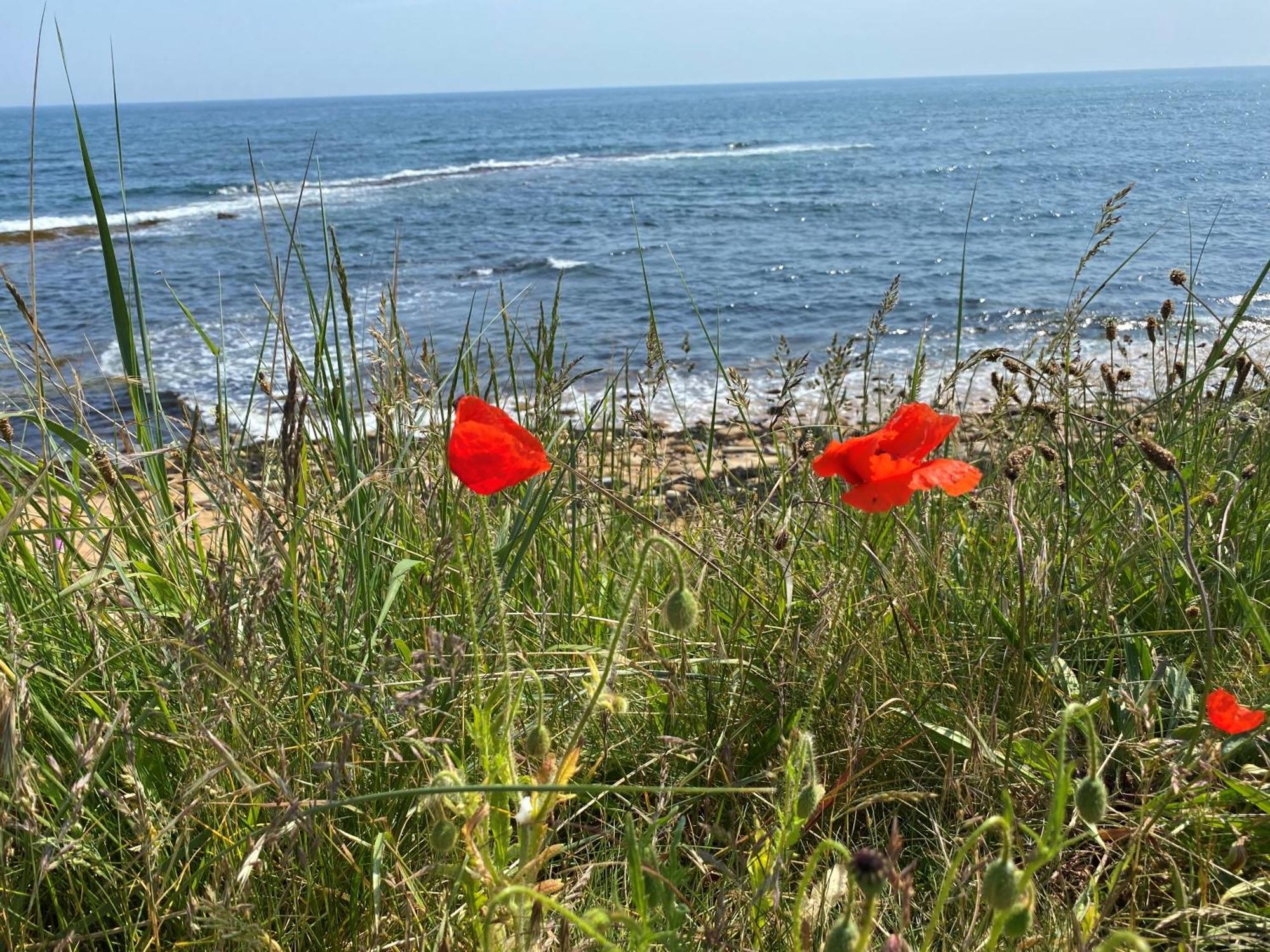 크레일 Seagull'S Rest 아파트 외부 사진